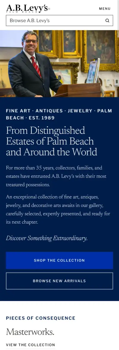 A.B. Levy’s website after the redesign